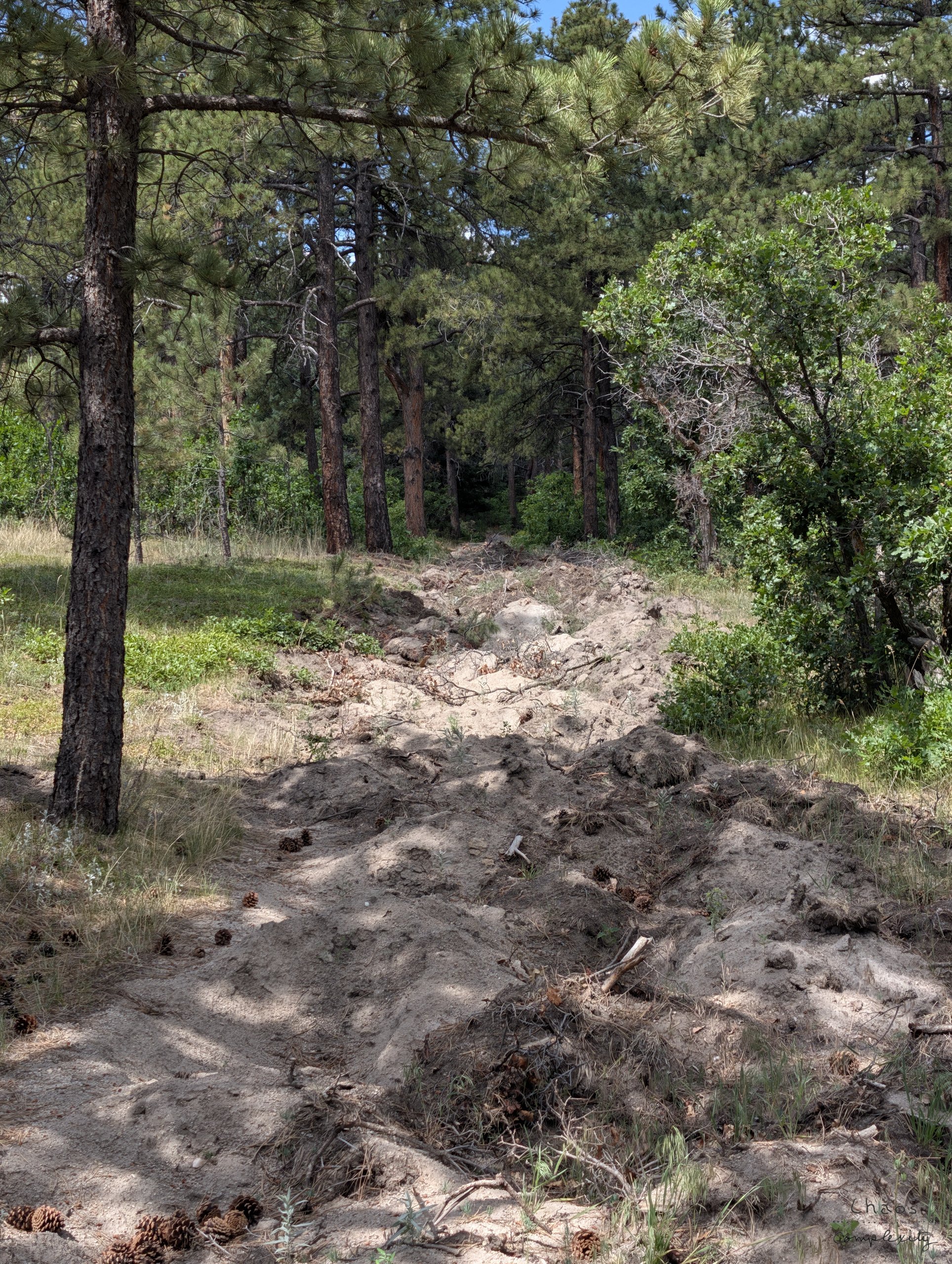 Dark Path